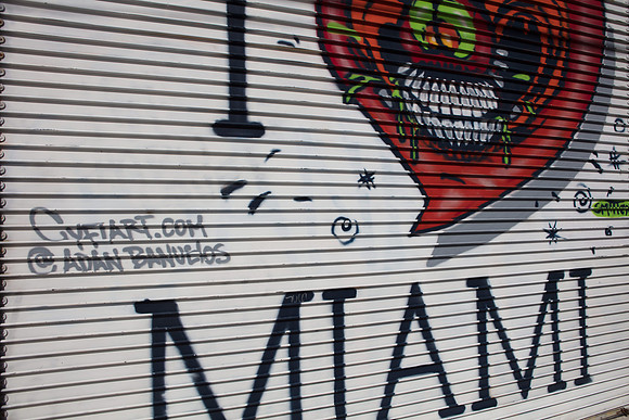 20161108_Wynwood_S5D2976