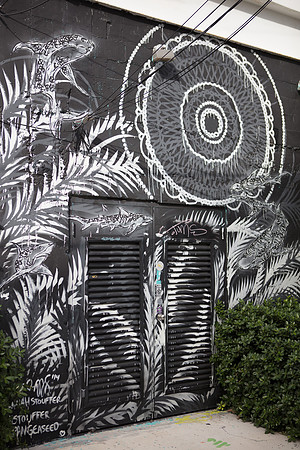 20161108_Wynwood_S5D3255