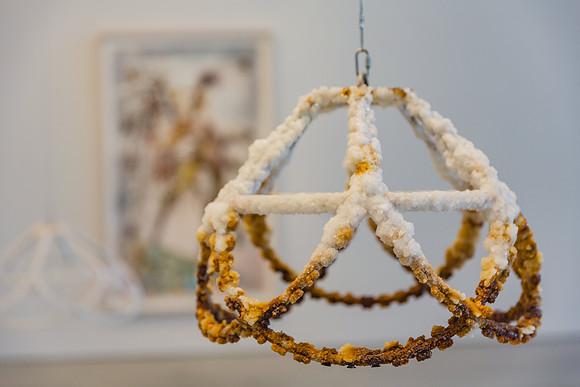 20150530_Pamm_Exhibition_Linda_9C7C7992