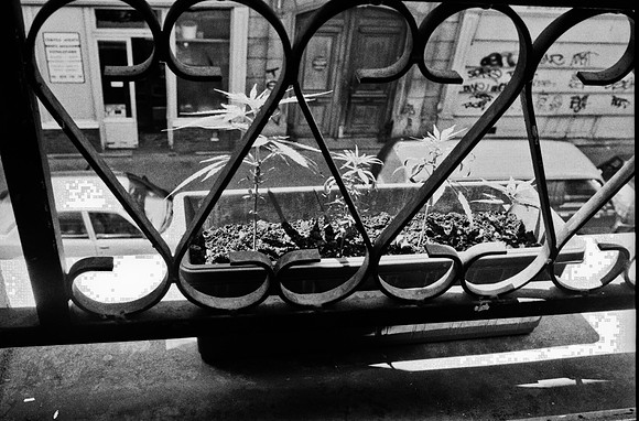 2523_FM_BW_35MM_CW_FOLES_JAN_1991_28