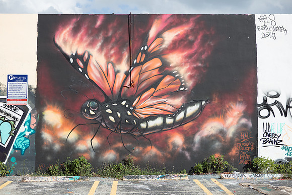 20161108_Wynwood_S5D3210