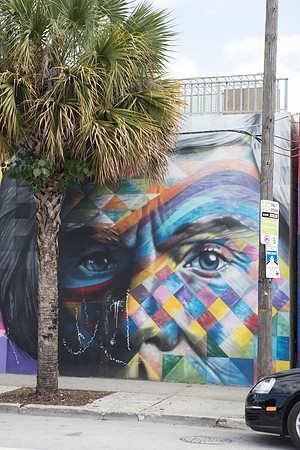 20161108_Wynwood_H5D2972