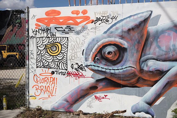 20161108_Wynwood_S5D3046