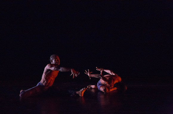 20131220_Ayikodans_Arsht__C7C1457