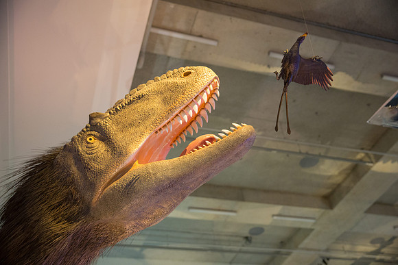 20170508_Science_Museum_9C7C5688