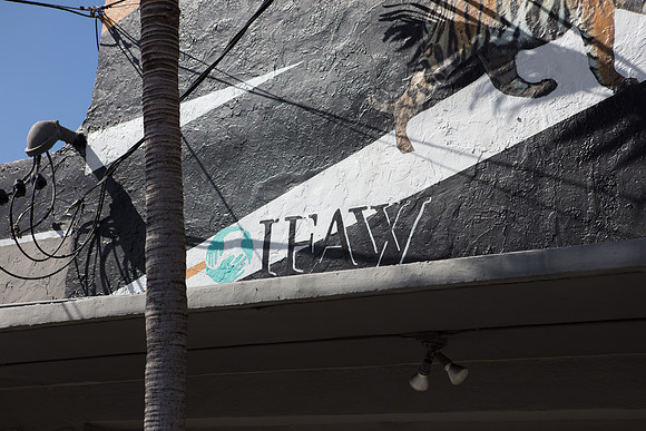 20161108_Wynwood_H5D2743