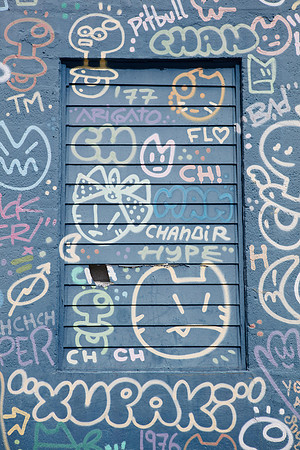 20161108_Wynwood_H5D2803