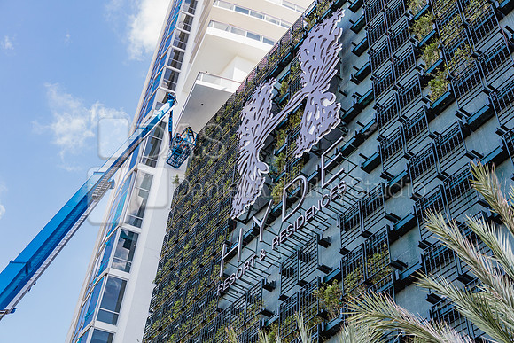 20170120_Hyde_Resort&Residences_Moriarty_S5D6328