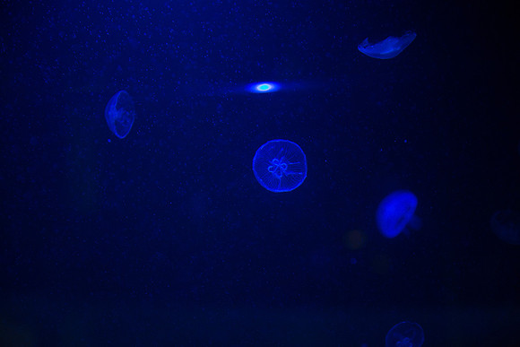 20170508_Science_Museum_9C7C5431
