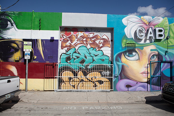 20161108_Wynwood_H5D2702