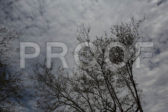 20140228_FIU_Nick_EXB_9C7C1539