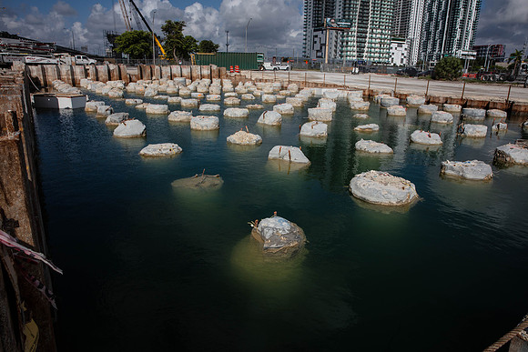 20201009_Connecting_Miami__MG_4276