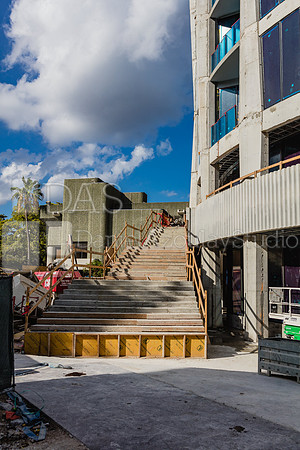 20170424_Park_Grove_Moriarty_S5D0123