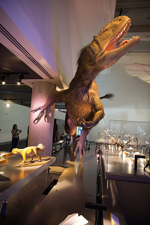 20170508_Science_Museum_9C7C5695