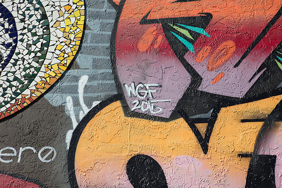 20161108_Wynwood_H5D2690