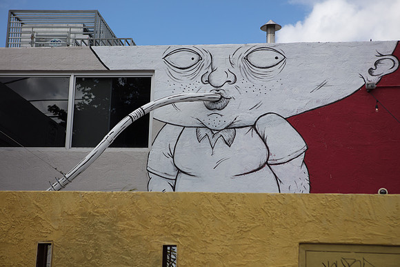 20161108_Wynwood_S5D3059