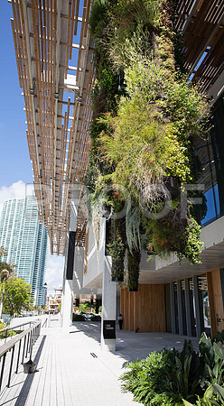 20140801_Pamm_9C7C7889
