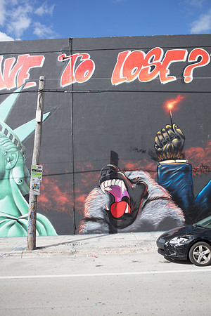 20161108_Wynwood_S5D3183