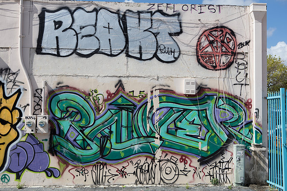 20161108_Wynwood_H5D2896