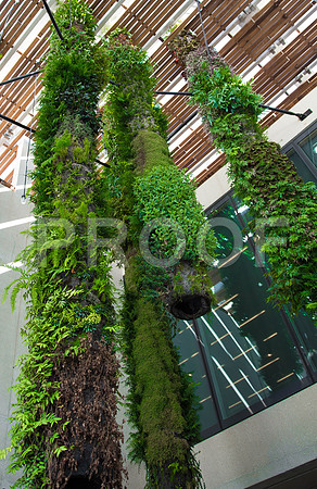 20140801_Pamm_9C7C7868