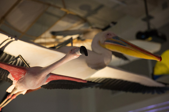 20170508_Science_Museum_9C7C5697