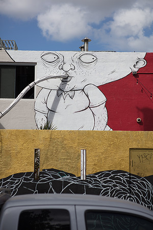 20161108_Wynwood_S5D3063
