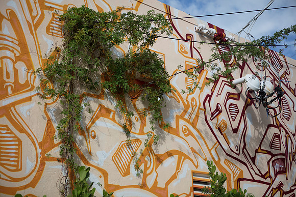 20161108_Wynwood_S5D3245