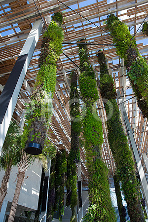 20140801_Pamm_9C7C7901