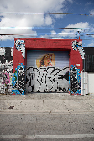 20161108_Wynwood_S5D3077