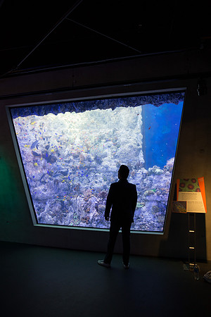 20170508_Science_Museum_9C7C5390
