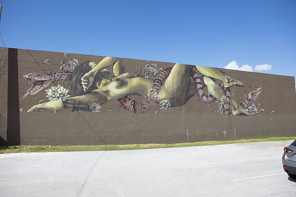 20161108_Wynwood_H5D2787