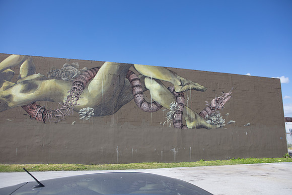 20161108_Wynwood_H5D2791
