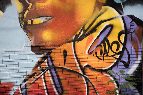 20161108_Wynwood_S5D3247