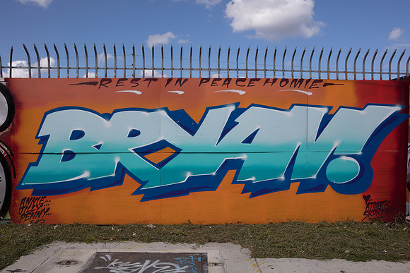 20161108_Wynwood_S5D3018