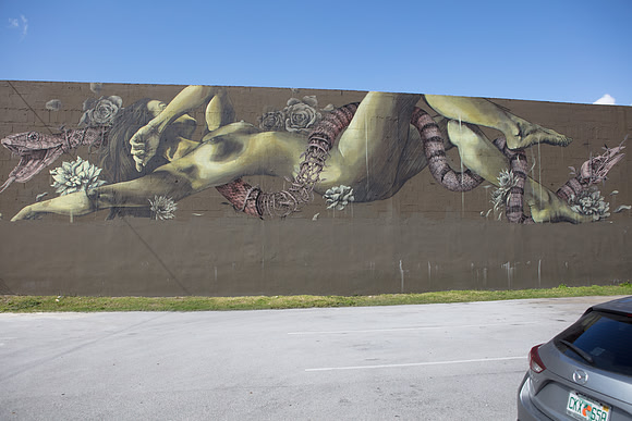 20161108_Wynwood_H5D2786