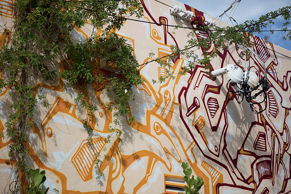 20161108_Wynwood_S5D3244