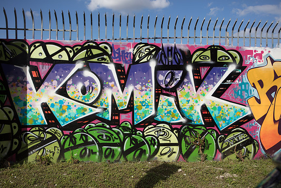 20161108_Wynwood_S5D3033