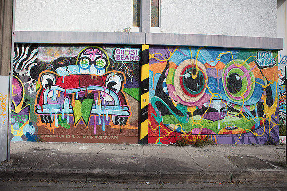 20161108_Wynwood_S5D3146