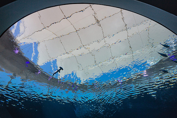 20170508_Science_Museum_9C7C5465