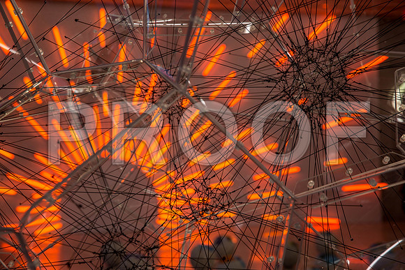 20140821_Pamm_CG3P0973