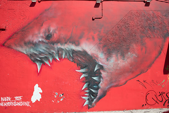 20161108_Wynwood_H5D2761