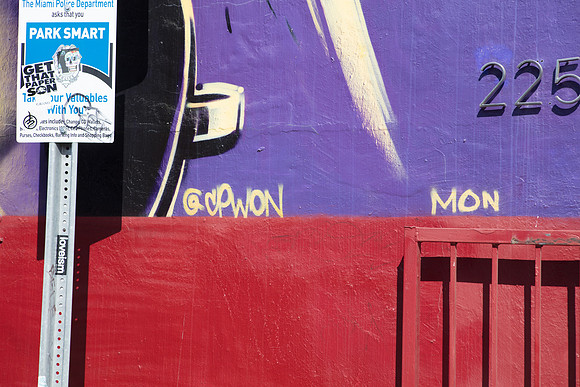 20161108_Wynwood_H5D2704