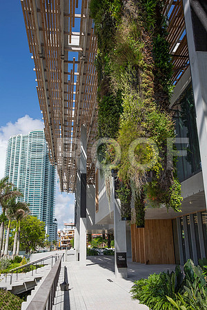 20140801_Pamm_9C7C7891