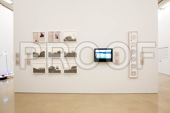 20140801_Pamm_9C7C8269