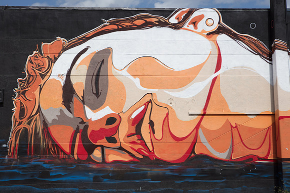 20161108_Wynwood_H5D2921