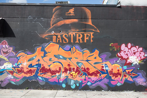 20161108_Wynwood_S5D3121