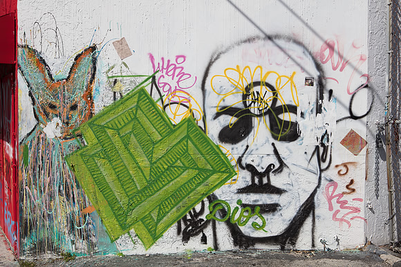 20161108_Wynwood_H5D2766