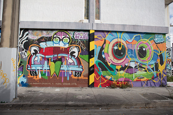 20161108_Wynwood_S5D3145