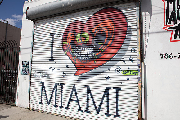 20161108_Wynwood_S5D2974
