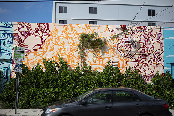 20161108_Wynwood_S5D3242